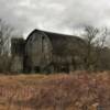 Secluded old Chippewa County dairy barn.