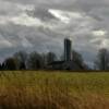 Another picturesque abandoned farmstead in
Chippewa County.