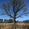 Picturesque rural scene in
southern Chippewa County.