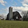 Another Chippewa County classic dairy barn.