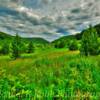 Wisconsin's Turtle Valley's
lush green scenery~
(Vernon County).