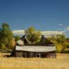 Collapsing barn~
(along US Highway 16).
near Ten Sleep, WY.
