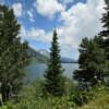 Tall standing pine.
Jenny Lake.