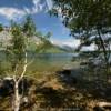 More of Jenny Lake.
Northern Cove.