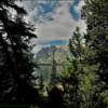 Jenny Lake
Through the pines.