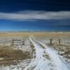 'Snow lane'
Laramie County field.