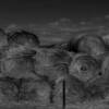 Typical stack of hay rolls.
Near Horse Creek, WY.