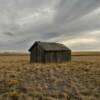 Withered old tool shed.
Goshen County.