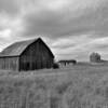 Old farmstead.
Near Slater.