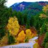 Some spectacular fall colors-near Alpine, Wyoming