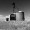 1940's grain silo &
weigh scale.
Near Chugwater, WY.