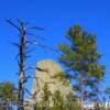 Devil's Tower
(Another perspective)