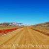 Lost Cabin Road, 
western Wyoming.