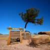 Tree Rock Monument
(In the I-80 Median-'Mile 340')